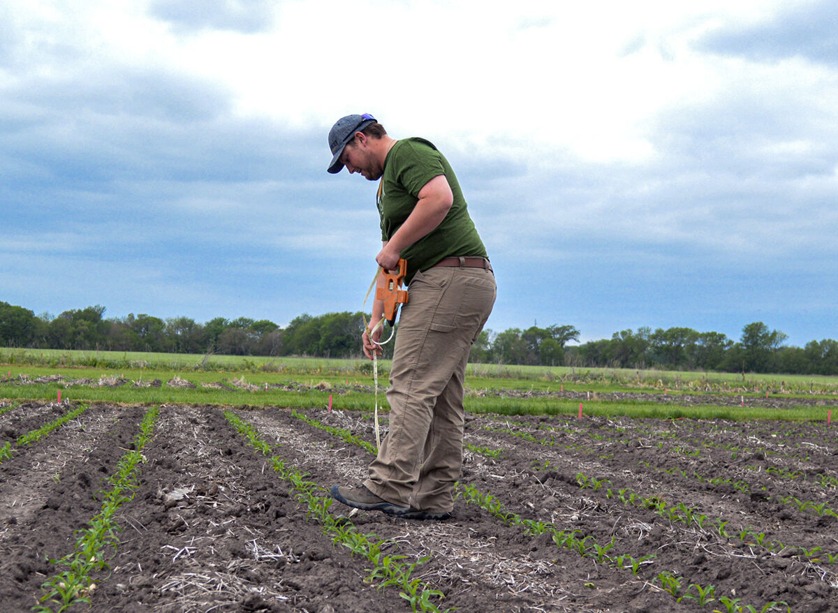 Agronomy student